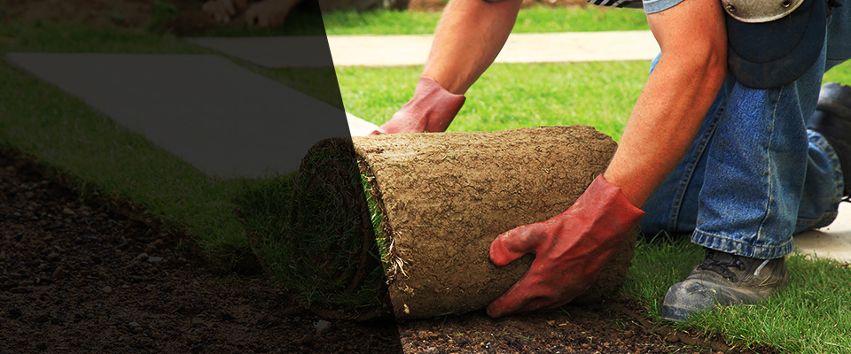 West Sayville Landscapers